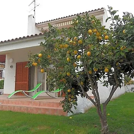 Villa 100 M From The *